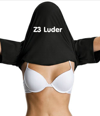 z3 luder 2.jpg